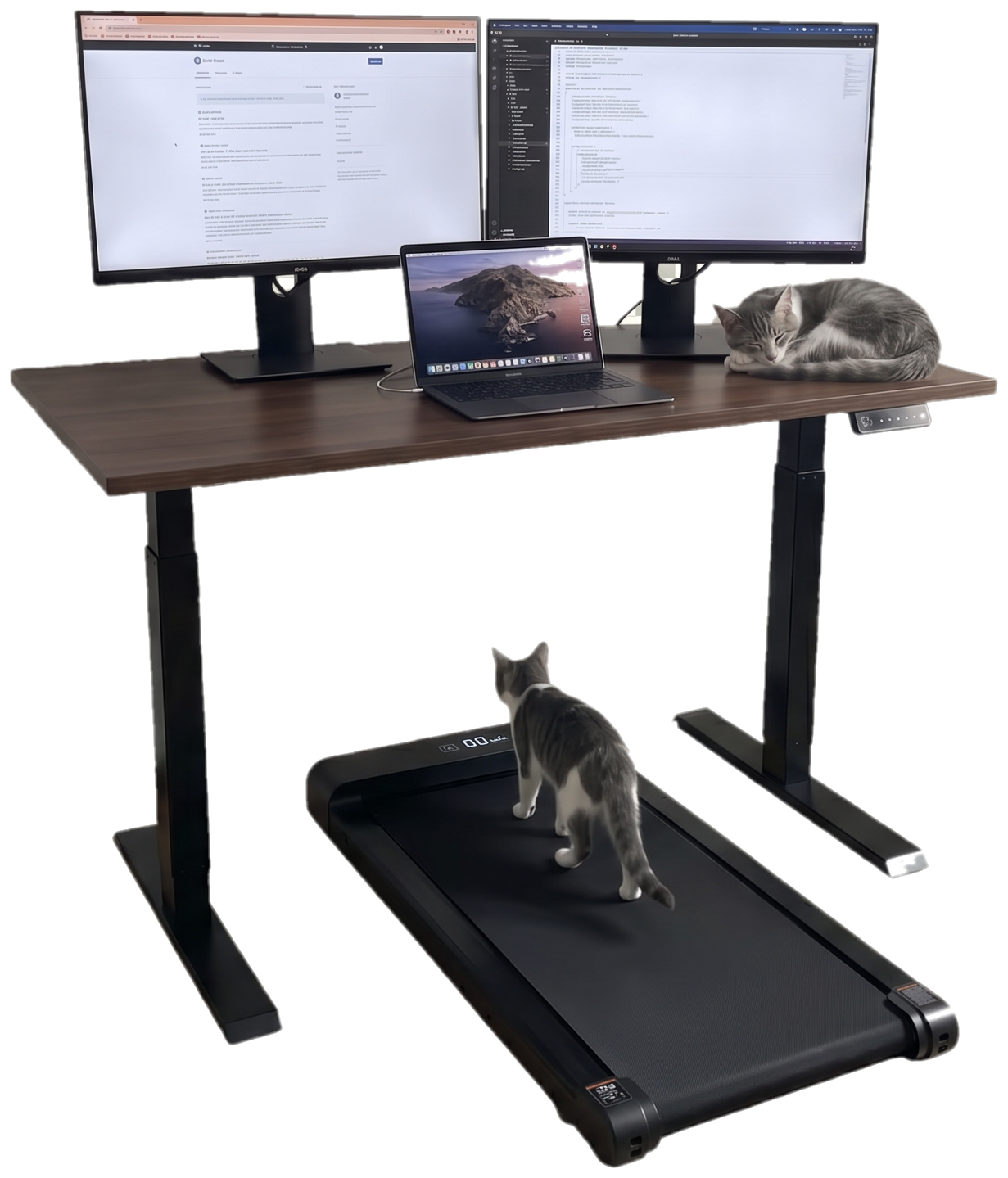 Johnnie&rsquo;s desk — dual monitors, a MacBook, an under-desk treadmill, and two cats